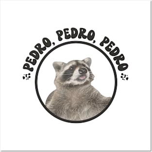 Funny Raccoon Pedro Pedro Dancing Raccoon Funny Meme Posters and Art